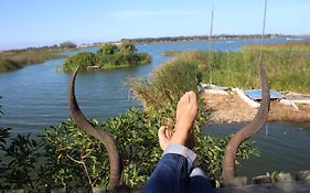 Nature'S Rest